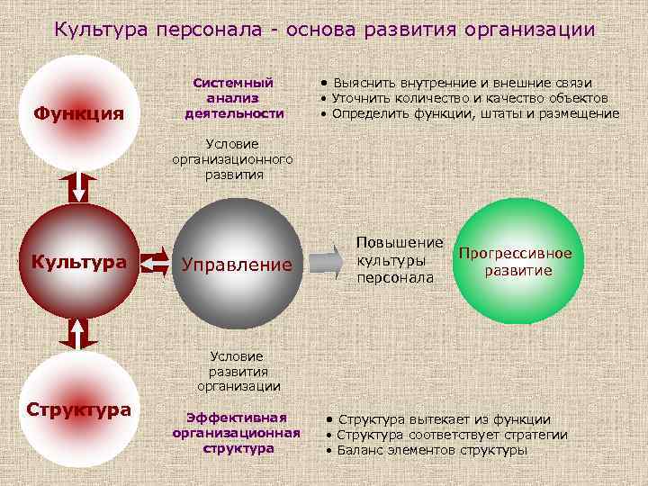 Культура персонала - основа развития организации Функция Системный анализ деятельности • Выяснить внутренние и