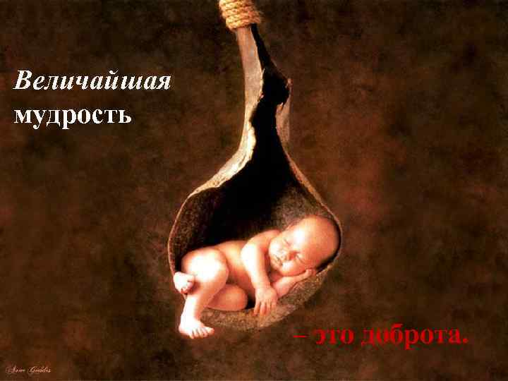 Величайшая мудрость – это доброта. 