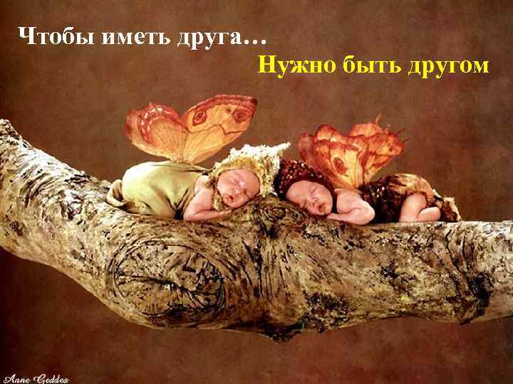 Чтобы иметь друга… Нужно быть другом 