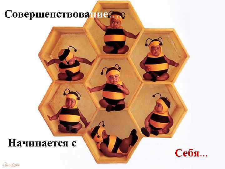 Совершенствование…. Начинается с Себя. . . 