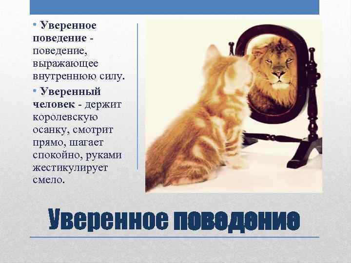 Поведение выражающее. Поведение уверенного человека. Поведение уверенного в себе человека. Модель поведения уверенного в себе человека. Техники уверенного поведения.