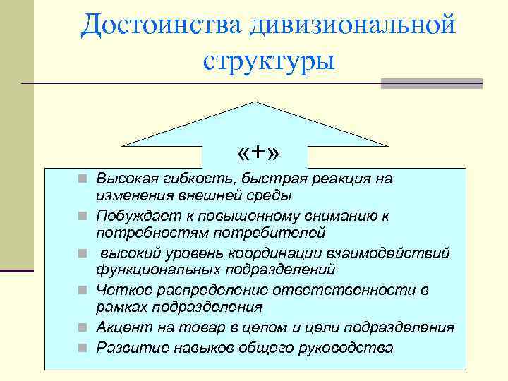 Достоинства дивизиональной структуры «+» n Высокая гибкость, быстрая реакция на n n n изменения