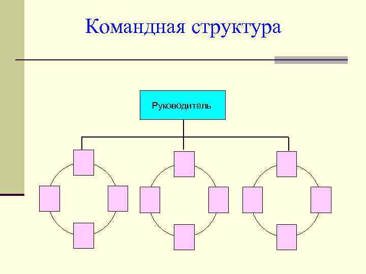Командная структура Руководитель 