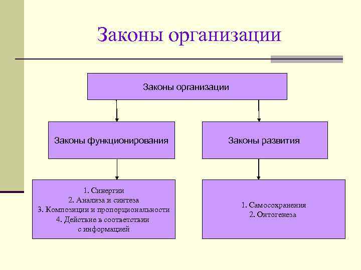 Законы организации Законы функционирования 1. Синергии 2. Анализа и синтеза 3. Композиции и пропорциональности