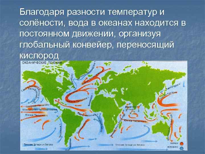 Благодаря разности температур и солёности, вода в океанах находится в постоянном движении, организуя глобальный