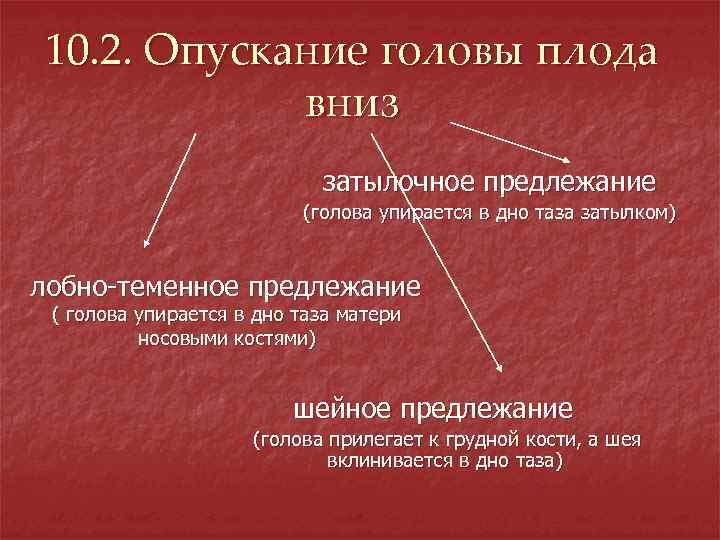 Курсовая работа по теме Організація патопсихологічного дослідження