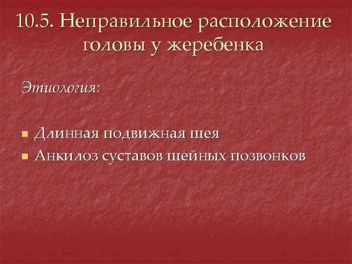 10. 5. Неправильное расположение головы у жеребенка Этиология: n n Длинная подвижная шея Анкилоз
