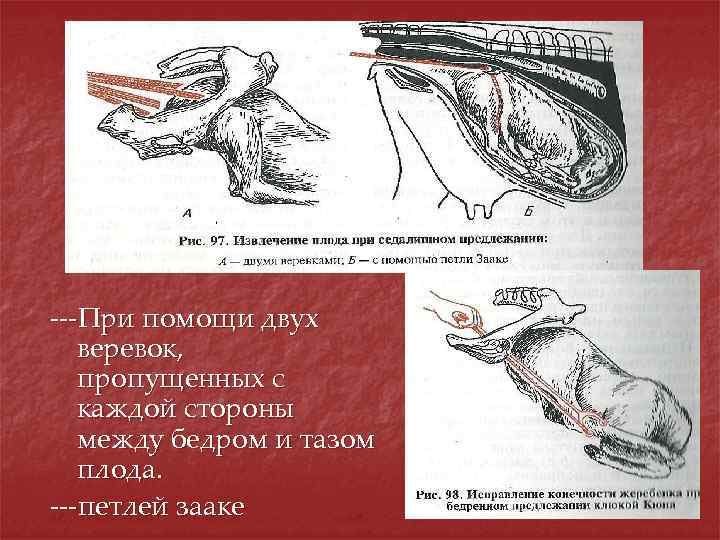 Курсовая работа по теме Організація патопсихологічного дослідження