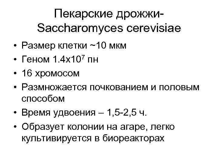 Пекарские дрожжи. Saccharomyces cerevisiae • • Размер клетки ~10 мкм Геном 1. 4 x