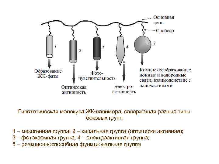 Гипотетическая молекула ЖК-полимера, содержащая разные типы боковых групп 1 – мезогенная группа; 2 –