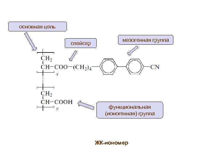 основная цепь спейсер мезогенная группа функциональная (ионогенная) группа ЖК-иономер 