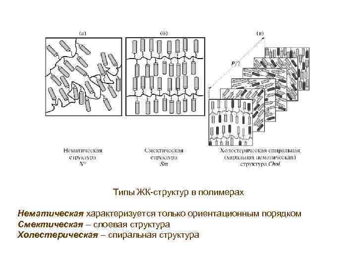 Типы ЖК-структур в полимерах Нематическая характеризуется только ориентационным порядком Смектическая – слоевая структура Холестерическая