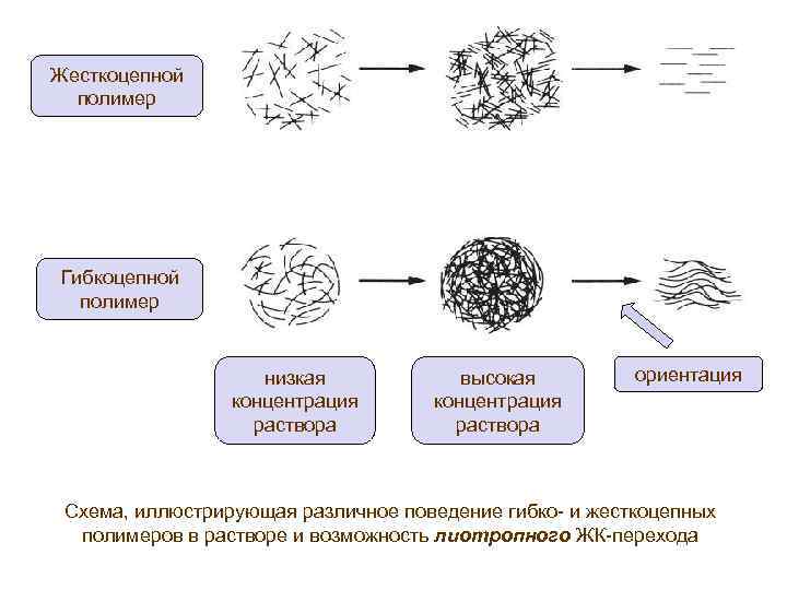 Жесткоцепной полимер Гибкоцепной полимер низкая концентрация раствора высокая концентрация раствора ориентация Схема, иллюстрирующая различное