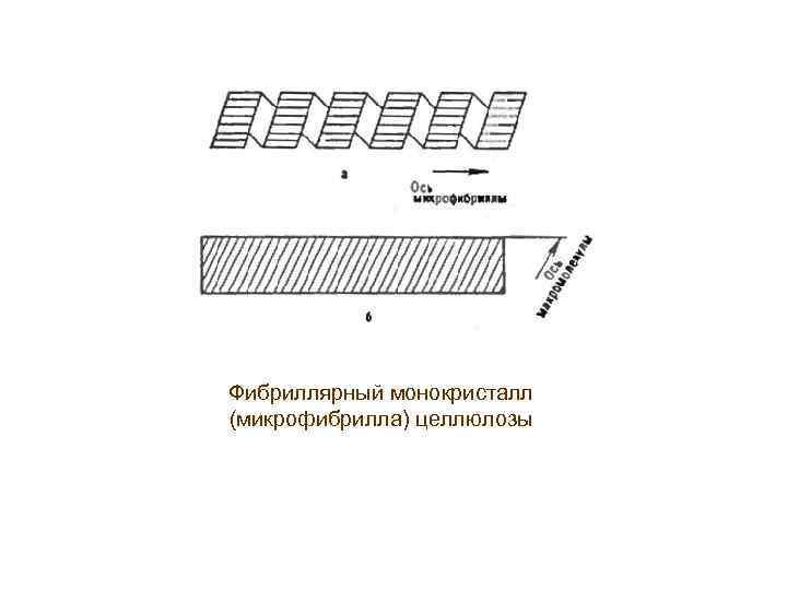 Фибриллярный монокристалл (микрофибрилла) целлюлозы 