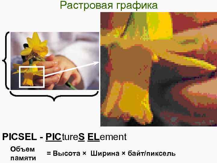 Растровая графика PICSEL - PICture. S ELement Объем памяти = Высота × Ширина ×