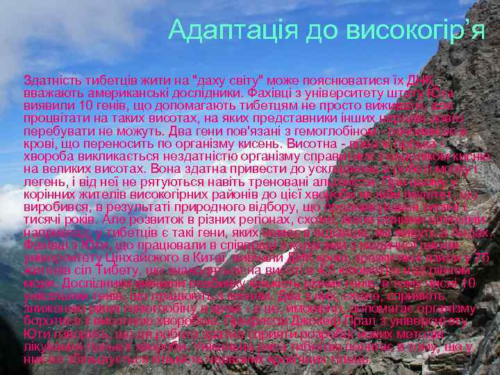 Адаптація до високогір’я Здатність тибетців жити на 