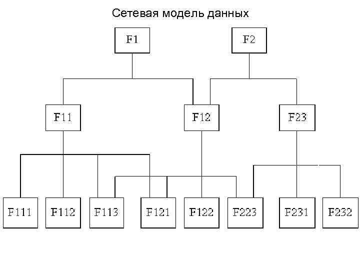Сетевая модель данных 