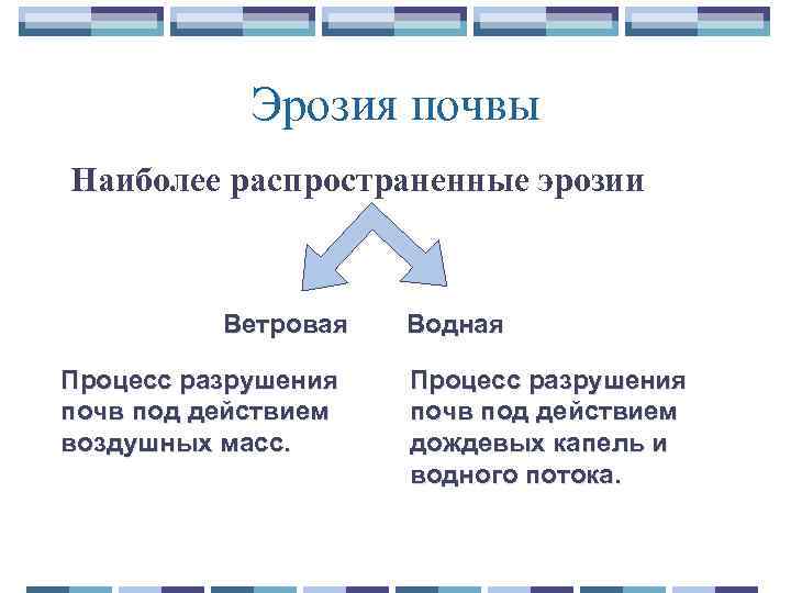 Эрозия почвы Наиболее распространенные эрозии Ветровая Процесс разрушения почв под действием воздушных масс. Водная