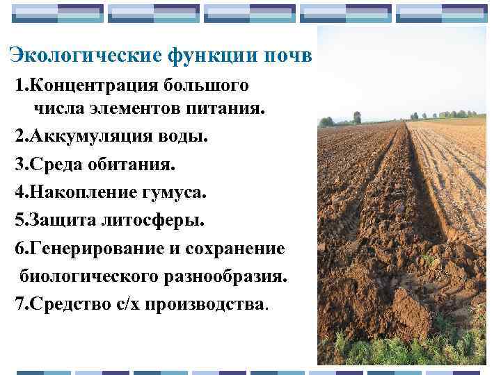 Основные функции почвы