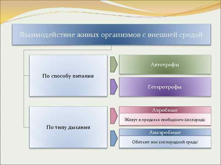 Взаимодействие живых организмов