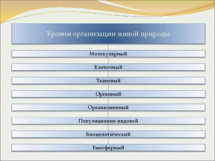 Уровни организации жизни органно тканевой