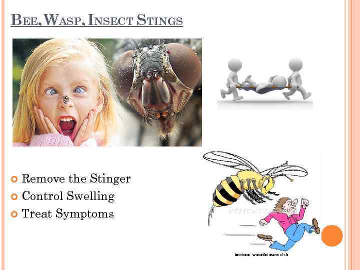 BEE, WASP, INSECT STINGS Remove the Stinger Control Swelling Treat Symptoms 