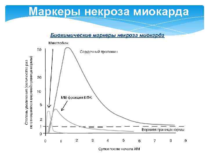 Маркеры некроза миокарда Биохимические маркеры некроза миокарда 