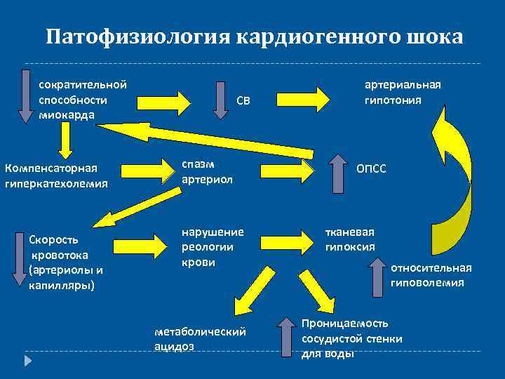 Патофизиология кардиогенного шока сократительной способности миокарда Компенсаторная гиперкатехолемия Скорость кровотока (артериолы и капилляры) СВ