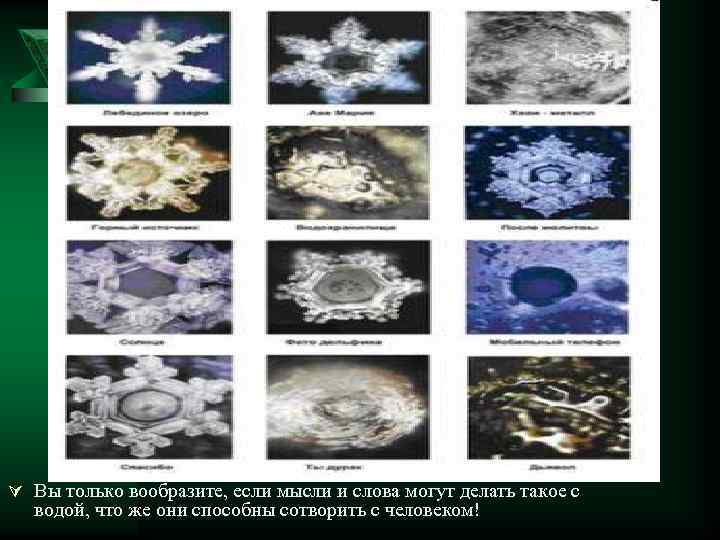 Ú Вы только вообразите, если мысли и слова могут делать такое с водой, что