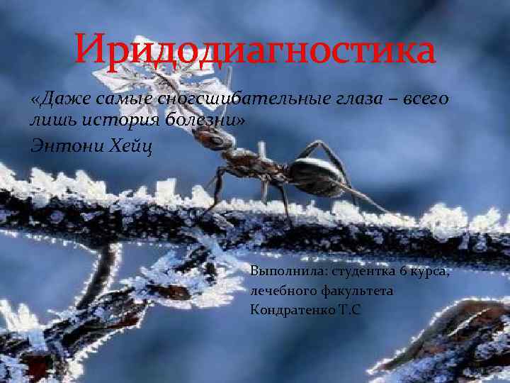 Иридодиагностика «Даже самые сногсшибательные глаза – всего лишь история болезни» Энтони Хейц Выполнила: студентка