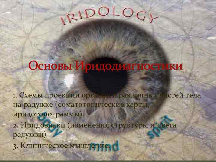 Основы Иридодиагностики 1. Схемы проекции органов и различных частей тела на радужке (соматотопические карты,