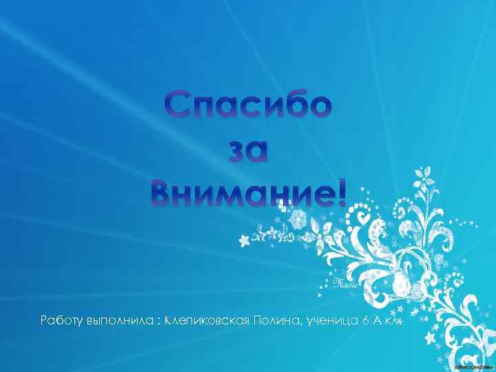 Спасибо за Внимание! Работу выполнила : Клепиковская Полина, ученица 6 А кл. 