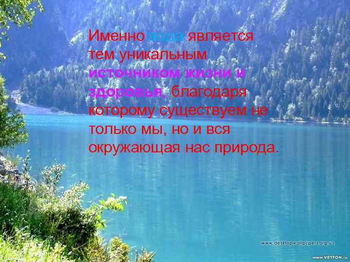 Именно вода является тем уникальным источником жизни и здоровья, благодаря которому существуем не только