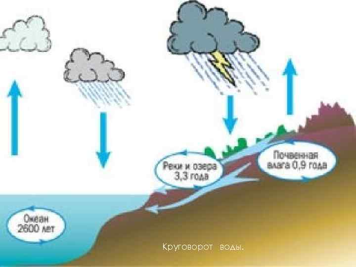 Круговорот воды. 