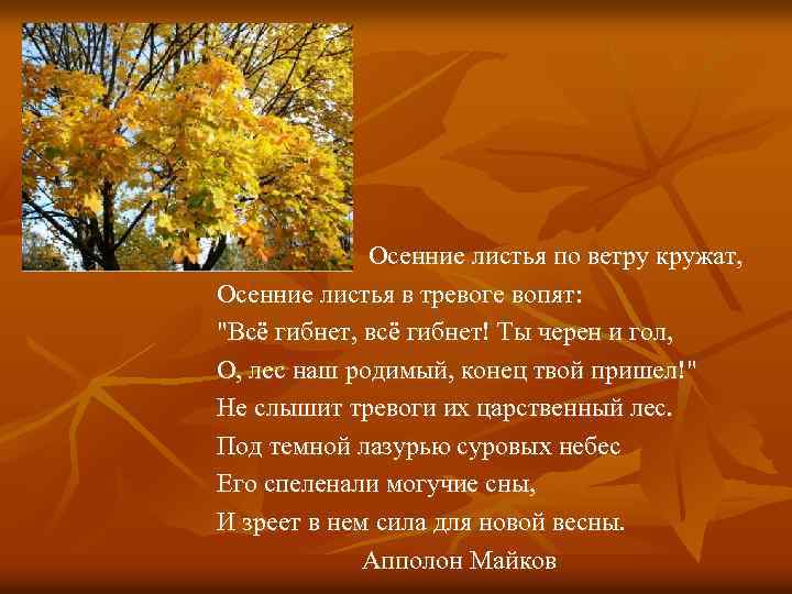 Стихотворение майкова осень. Осенний лист по ветру. Осенние листья по ветру кружат. Майков осенние листья по ветру кружат. Стихотворение осенние листья по ветру кружат.