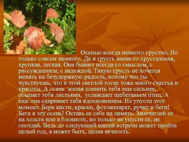 Осенью всегда немного грустно. Но только совсем немного. Да и грусть какая-то хрустальная, хрупкая,