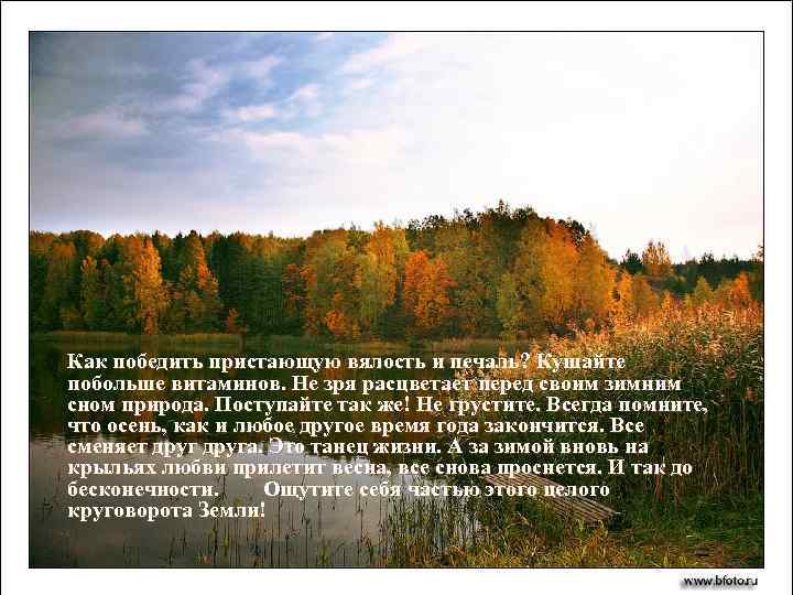 Как победить пристающую вялость и печаль? Кушайте побольше витаминов. Не зря расцветает перед своим