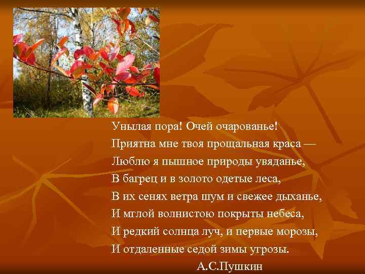 Унылая пора! Очей очарованье! Приятна мне твоя прощальная краса — Люблю я пышное природы