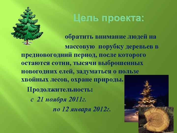 Цель проекта: обратить внимание людей на массовую порубку деревьев в предновогодний период, после которого