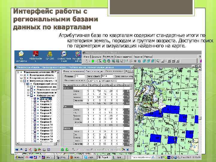 Интерфейс работы с региональными базами данных по кварталам Атрибутивная база по кварталам содержит стандартные