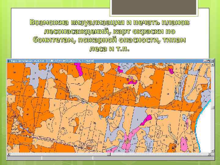 Возможна визуализация и печать планов лесонасаждений, карт окраски по бонитетам, пожарной опасности, типам леса