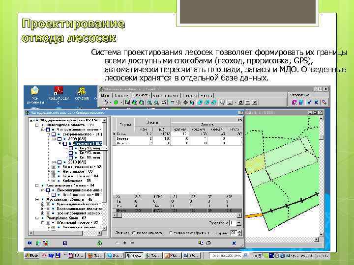 Программа для создания чертежа отвода лесосеки