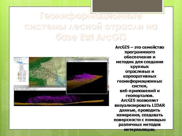 Геоинформационные системы лесной отрасли на базе Esri Arc. GIS – это семейство программного обеспечения