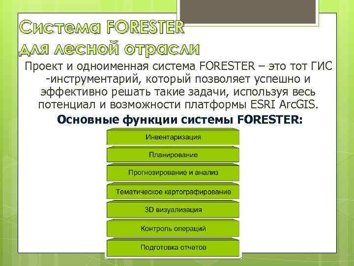 Система FORESTER для лесной отрасли Проект и одноименная система FORESTER – это тот ГИС