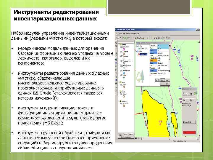 Инструменты редактирования инвентаризационных данных Набор модулей управления инвентаризационными данными (лесными участками), в который входят: