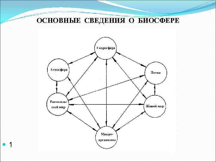 Схема биосфера 6 класс география