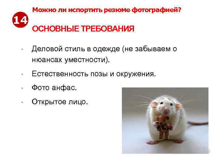 14 Можно ли испортить резюме фотографией? ОСНОВНЫЕ ТРЕБОВАНИЯ • Деловой стиль в одежде (не