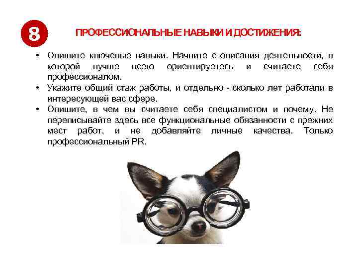8 ПРОФЕССИОНАЛЬНЫЕ НАВЫКИ И ДОСТИЖЕНИЯ: • Опишите ключевые навыки. Начните с описания деятельности, в