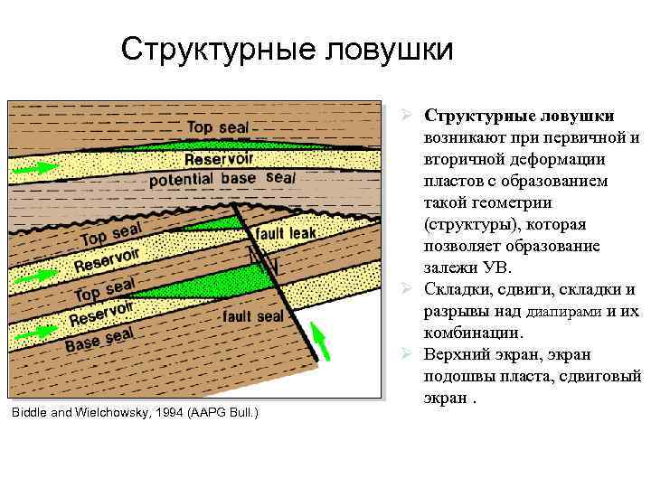 Структурные ловушки Biddle and Wielchowsky, 1994 (AAPG Bull. ) Ø Структурные ловушки возникают при