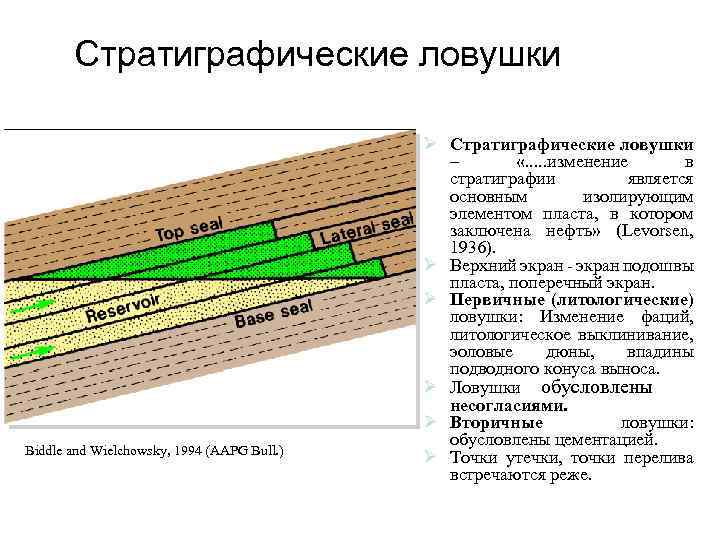 Стратиграфические ловушки Biddle and Wielchowsky, 1994 (AAPG Bull. ) Ø Стратиграфические ловушки – «.